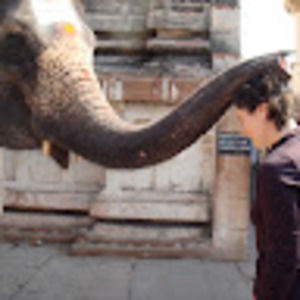 Meet your Posher, Lizzie